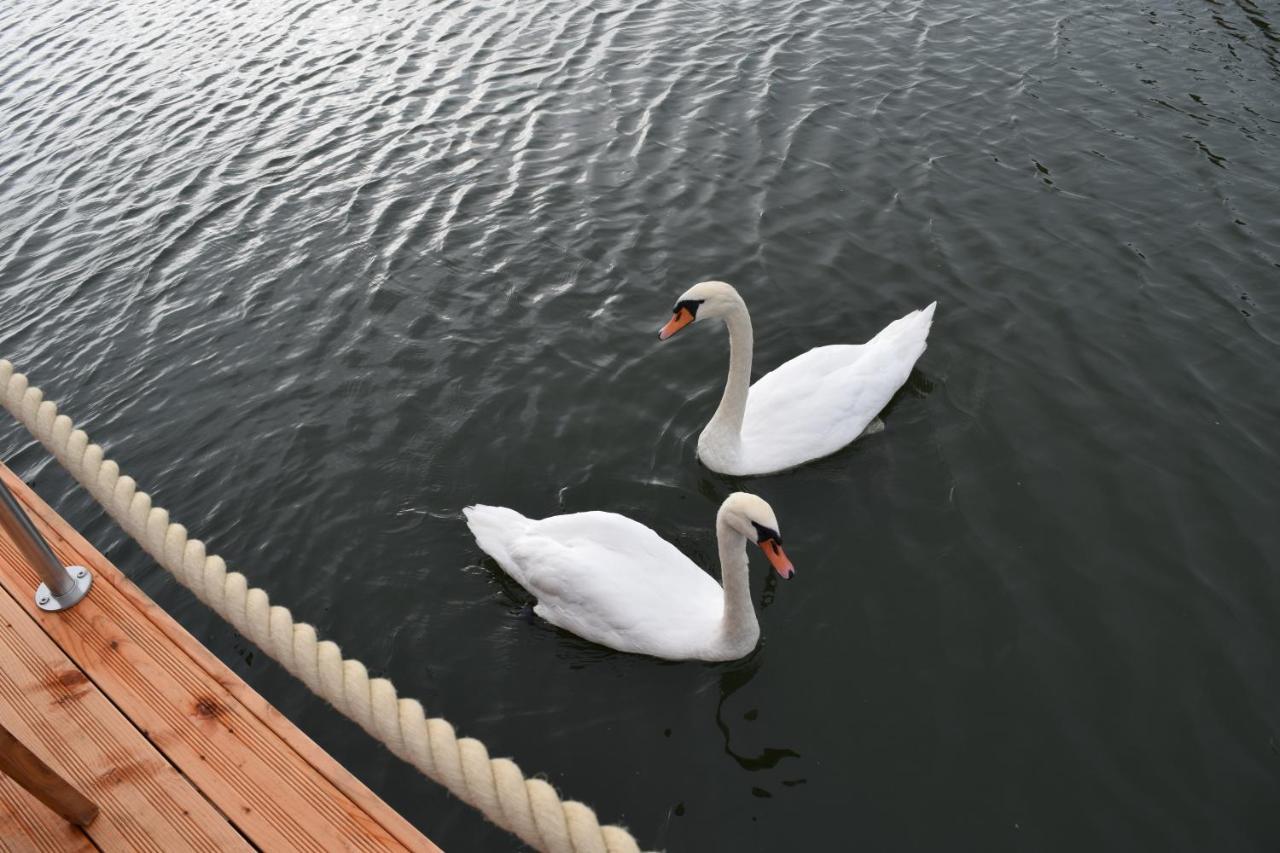 Schwimmende Haeuser Im Baltic Sea